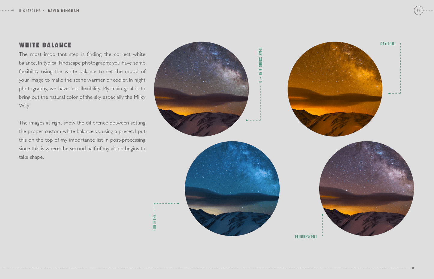 Nightscape eBook