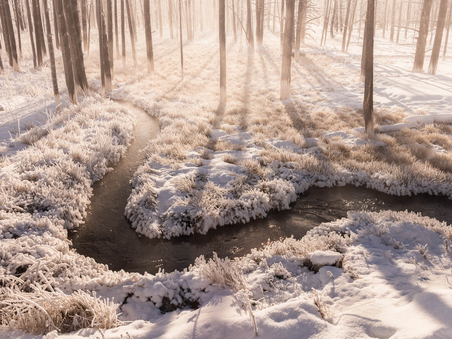 Yellowstone Winter Ghost Stream