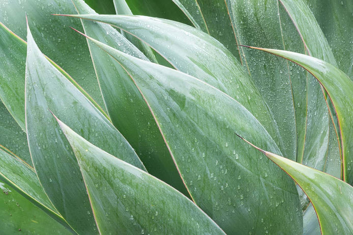 My Fujifilm Sharpening Workflow in Lightroom