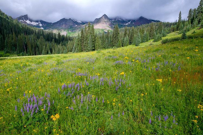 Advice For New Photographers - Do Not Learn To Use Your Camera First