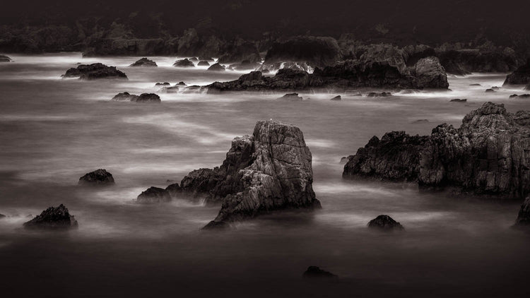California Coast Photography Workshop: Big Sur & Monterey | Exploring ...
