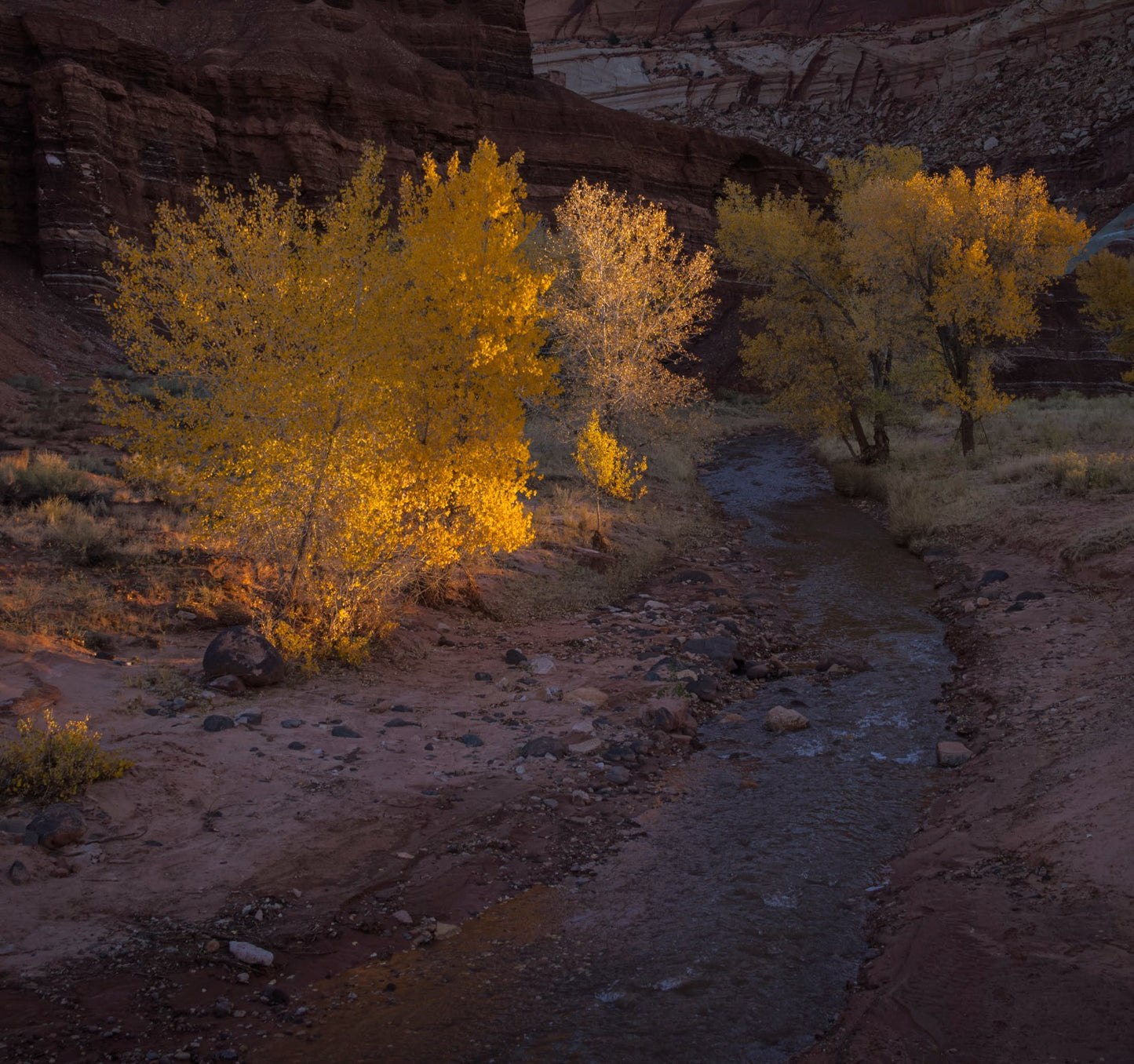Central Utah Workshop