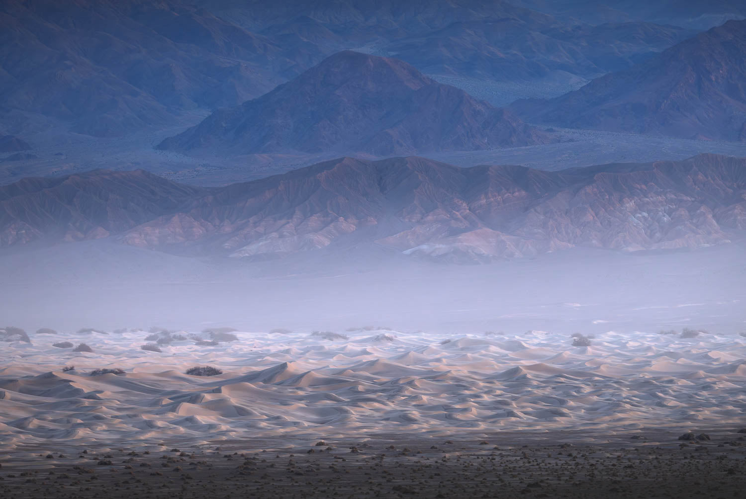 Death Valley Intimate Mesquite Layers