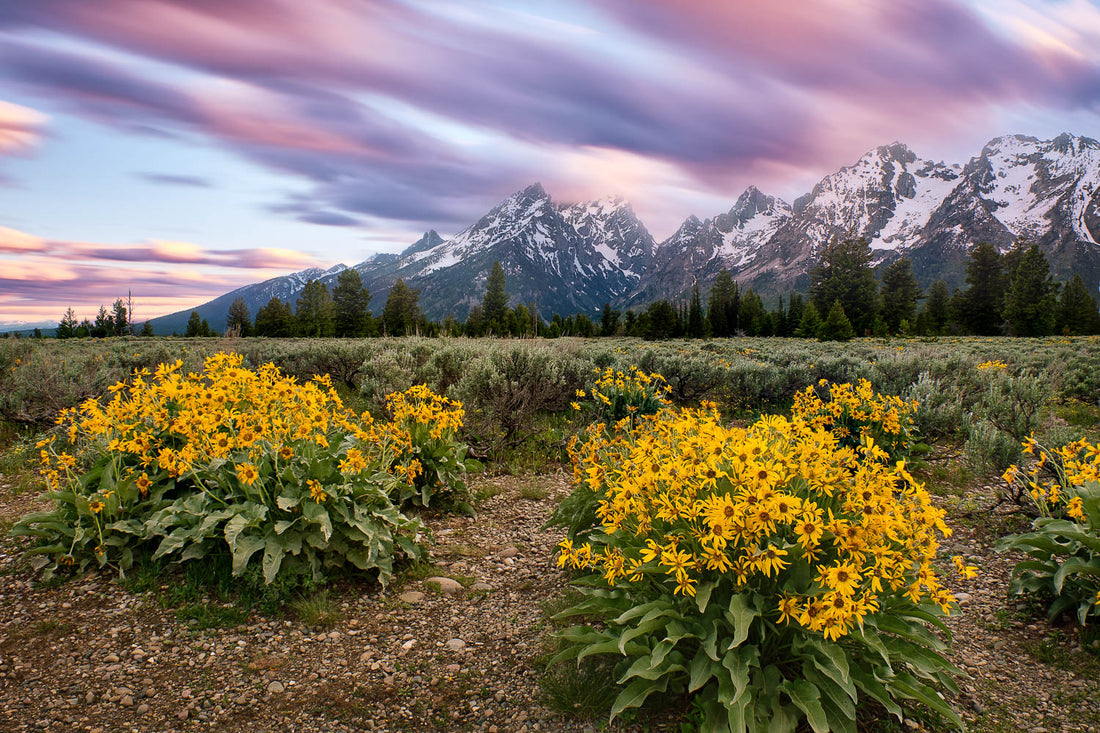 Grand Teton Spring Photography Workshop | Exploring Exposure