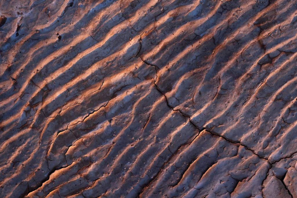mud patterns